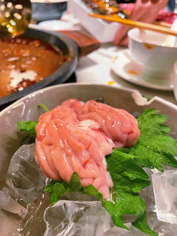 #Life #Food⭐️ 寻XUN·森系火锅(武林路店) ⭐️📍 杭州 · 教场路与开化路交叉口东40米（望湖宾馆旁边）💰 人均：¥150其实本来想去吃最近很火的珮姐火锅，但是手机上一看晚上 800 多桌排队还是劝退了，索性也在景区附近找一家口碑还不错的重庆辣锅吃吧