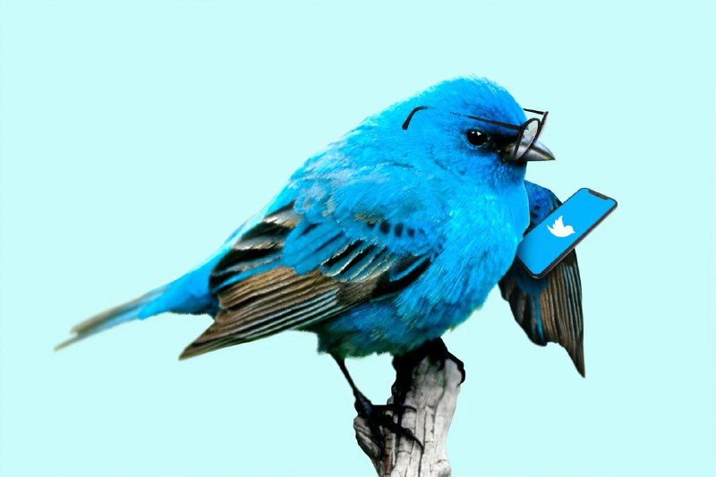 #App #Twitter🐦 说到 iOS 的三方 Twitter App，大多数人第一印象都是 Tweetbot 和 Twitterrific 两大「巨头」