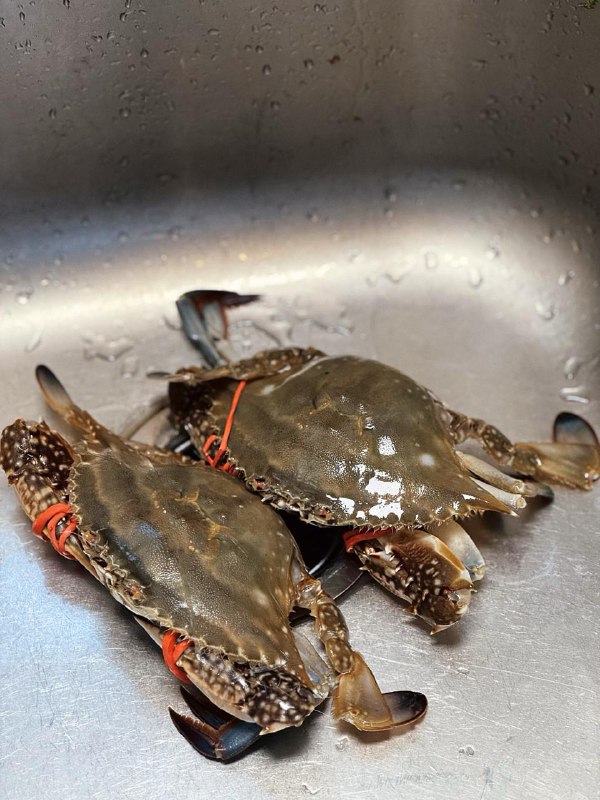 #Life #Food🦀 在家吃顿海鲜📦 上周老妈打电话过来说，五一青岛就要封海了，趁封海之前买点海鲜给我寄过来