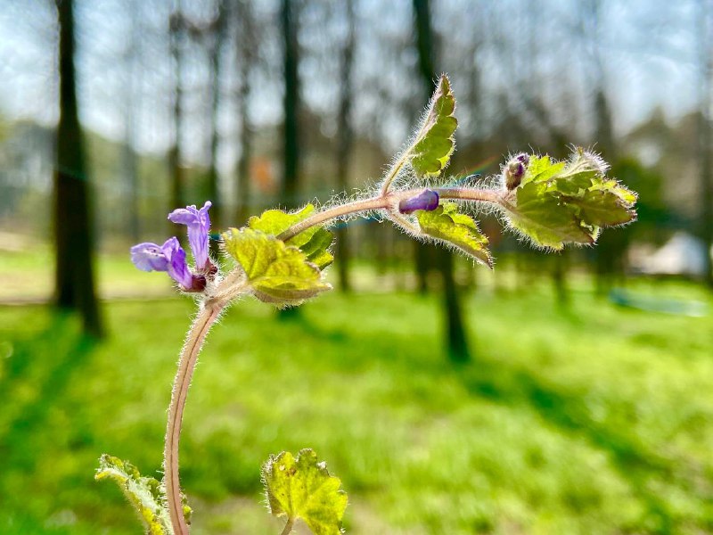 #Life🍃 最近杭州的天气暖和起来了，趁上周日得空，决定出游露营，也是今年第一次自驾露营，索性和大家分享一下