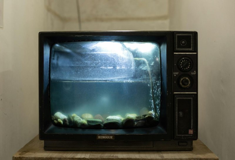 #Web📺 收看全世界各国的电视台 —— TV Garden📺 TV Garden 是一个支持你收看全世界电视频道的网页，打开网页，你只需要转动地球，选择一个国家，右侧的电视台列表就会加载出来，点击就能开始收看