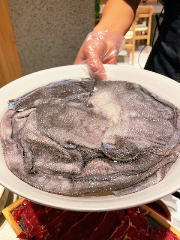 #Life #Food⭐️ 寻XUN·森系火锅(武林路店) ⭐️📍 杭州 · 教场路与开化路交叉口东40米（望湖宾馆旁边）💰 人均：¥150其实本来想去吃最近很火的珮姐火锅，但是手机上一看晚上 800 多桌排队还是劝退了，索性也在景区附近找一家口碑还不错的重庆辣锅吃吧