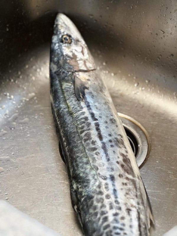 #Life #Food🦀 在家吃顿海鲜📦 上周老妈打电话过来说，五一青岛就要封海了，趁封海之前买点海鲜给我寄过来