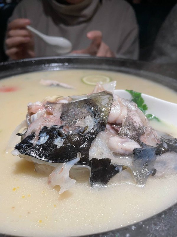 #Life #Food景区里的一家网红餐厅，环境来真的没话说，工作日的晚上不会排队