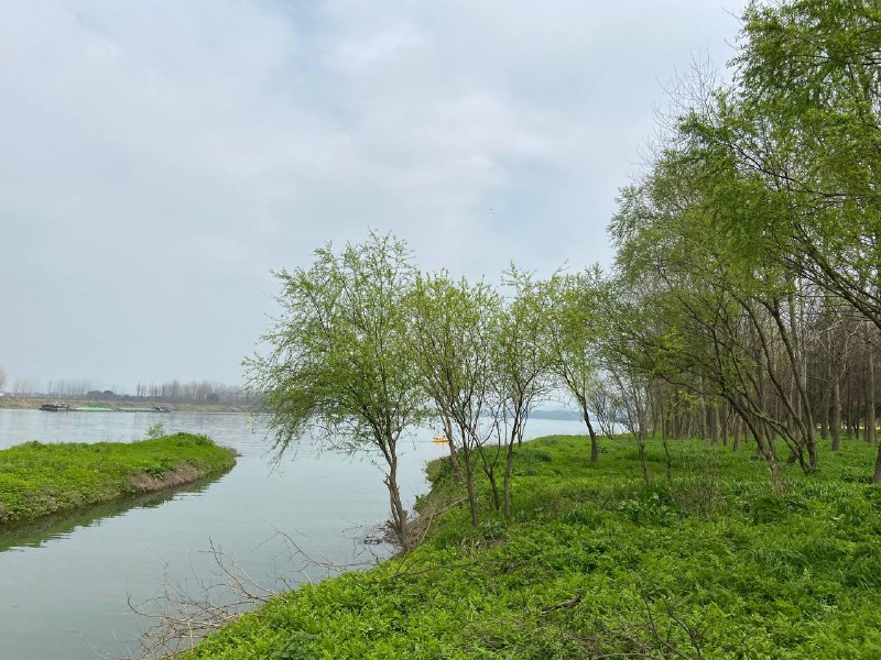 #Food #Life🦉 入春了，春暖花开的好时节来了