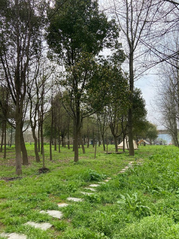 #Food #Life🦉 入春了，春暖花开的好时节来了